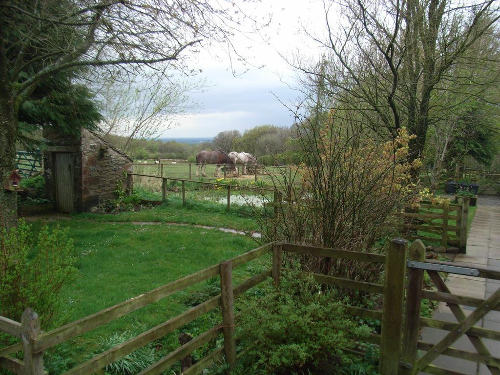 Wallace Lane Farm Westward Eksteriør billede