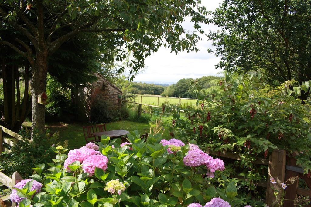 Wallace Lane Farm Westward Eksteriør billede