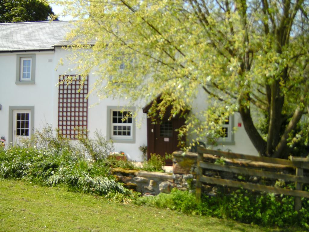Wallace Lane Farm Westward Eksteriør billede